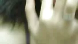 نگرانی پلیس از روباه ...