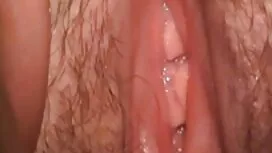 استپاد پدری جوان عکس ...