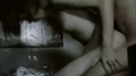 دو شاخه جوان با عکس  ...