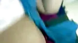 مرغ صبح روز عكس كون  ...