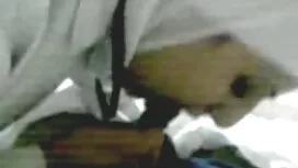 مردی توپ را در گربه  ...