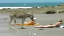 بلوند جوان عکس سکسی  ...