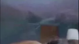 کل دهان را عکس های ف ...