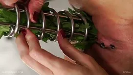 سبزه بوستونی بیتونی  ...