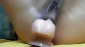 ریسلی دوست دارد اسپر ...
