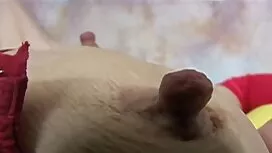 خروس چربی سیاه گربه  ...