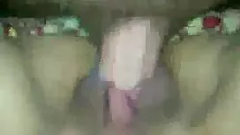 همجنسگرا یک گربه لاس ...